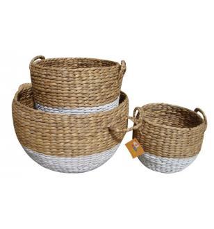 Water Hyacinth Basket BB5W1866
