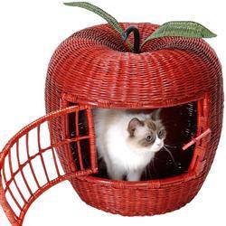 Apple Poly rattan cat/ dog house BB27004