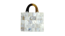 Mother of Pearl Bag BB04002