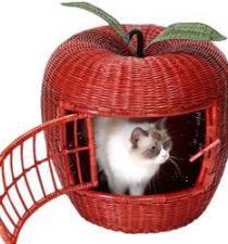 Apple Poly rattan cat/ dog house BB27004